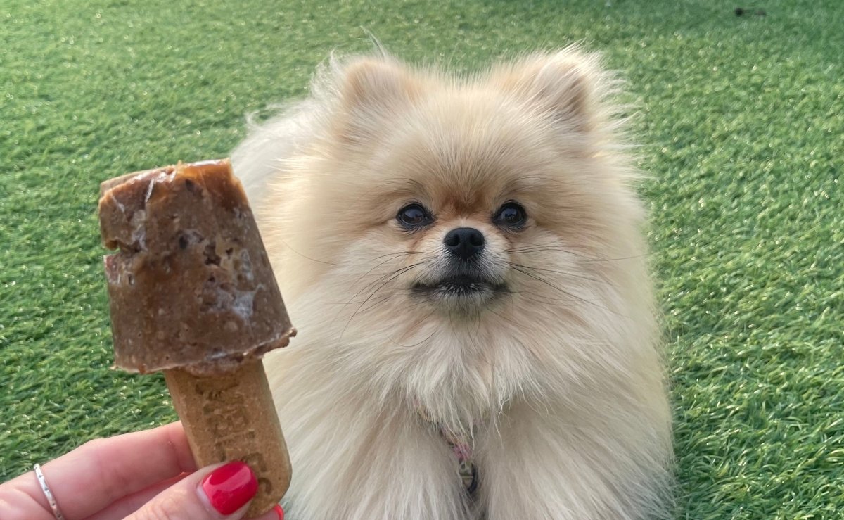 How To Make Dog Ice Lollies