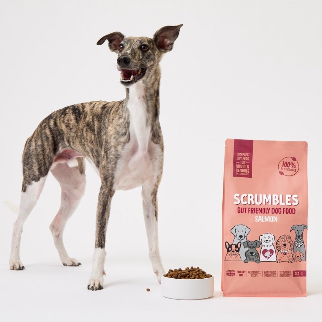 Chicken Free Dog Food – Scrumbles: Natural Pet Food - Chicken Free Dog Food Digestive Health