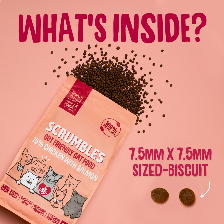 Chicken & Salmon Dry Cat Food Size