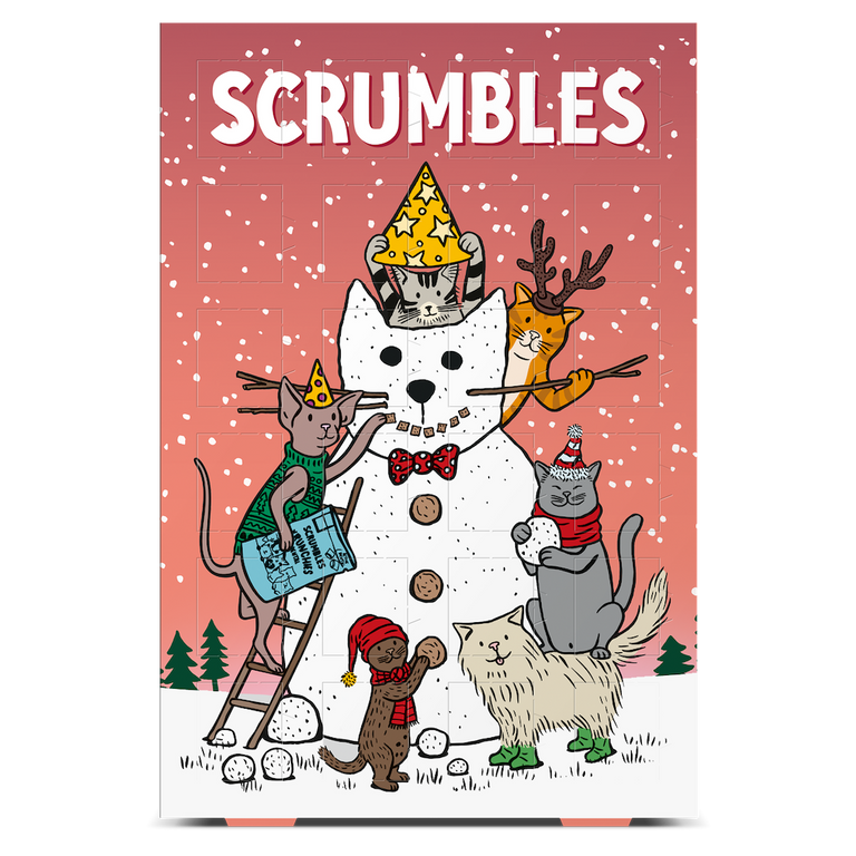 Cat Advent Calendar