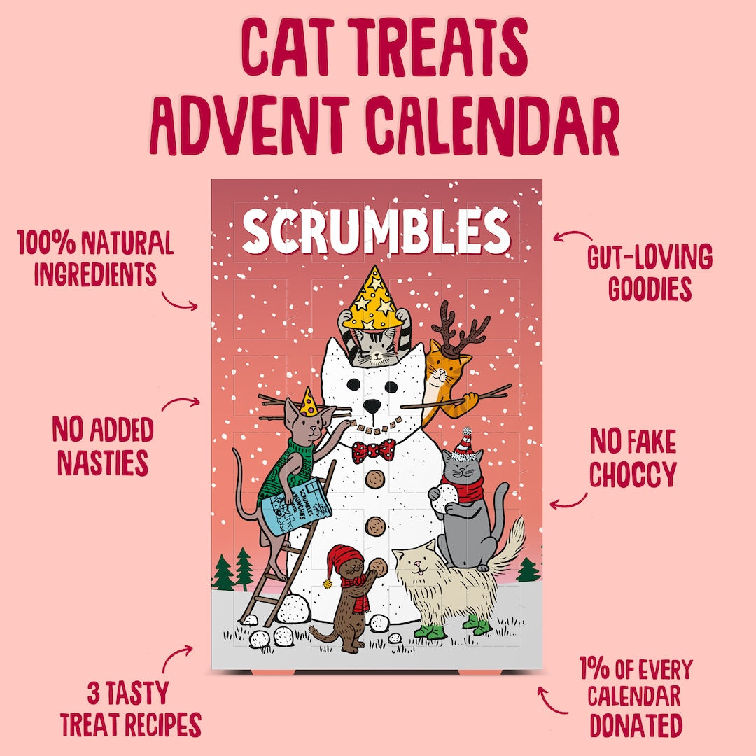cat advent calendar 2025