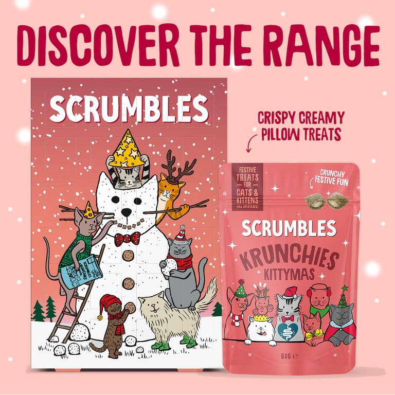 Cat Advent Calendar Range