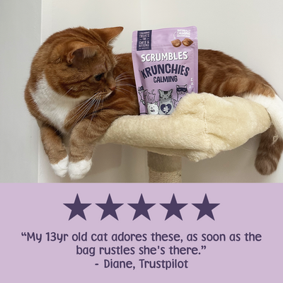 Calming Krunchies Cat Treats Review