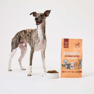 Chicken Dry Dog Food Trial Pack
