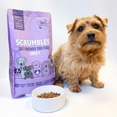 Turkey Dry Dog Food Trial Pack