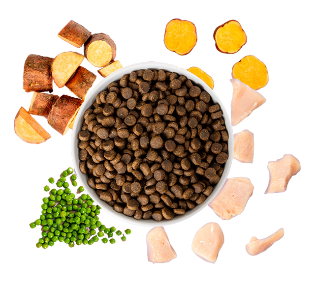 dry turkey dog food
