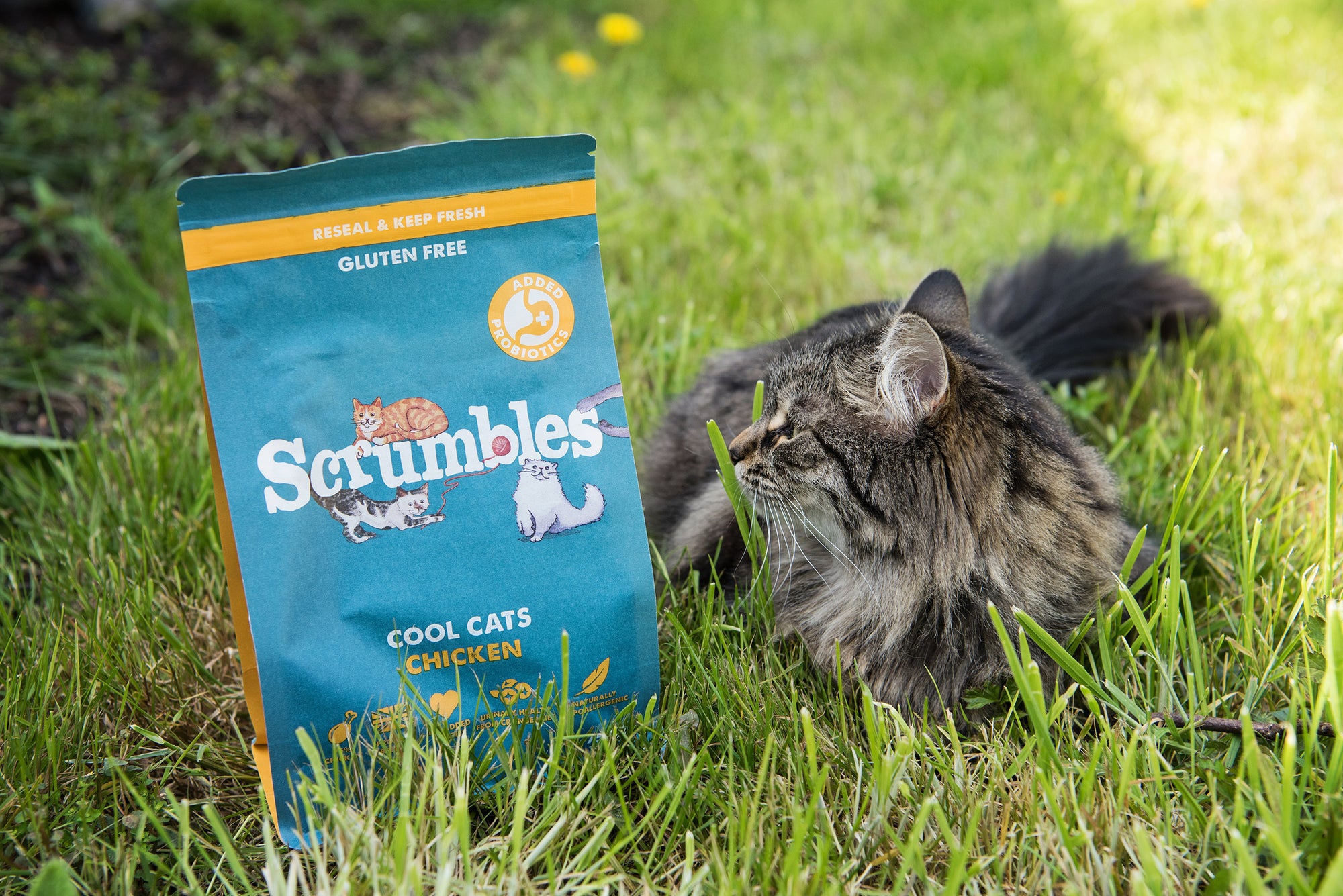 Scrumbles: Natural Pet Food