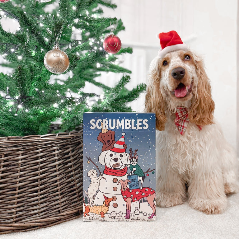 Dog Advent Calendar