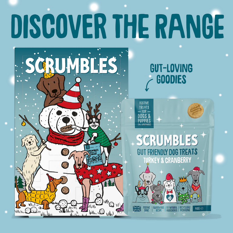 Dog Advent Calendar Range
