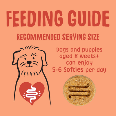 Chicken & Duck Softies Dog Treats Feeding