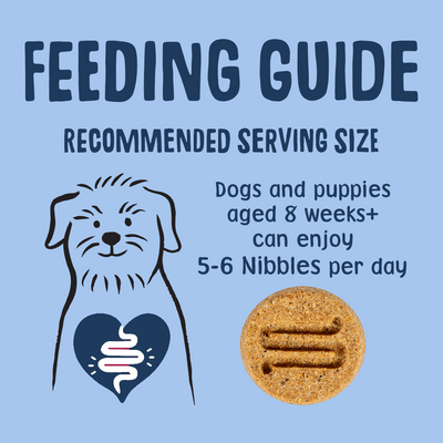 Postbiotic Nibbles Dog Treats Feeding