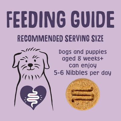 Calming Turkey Nibbles Dog Treats Feeding