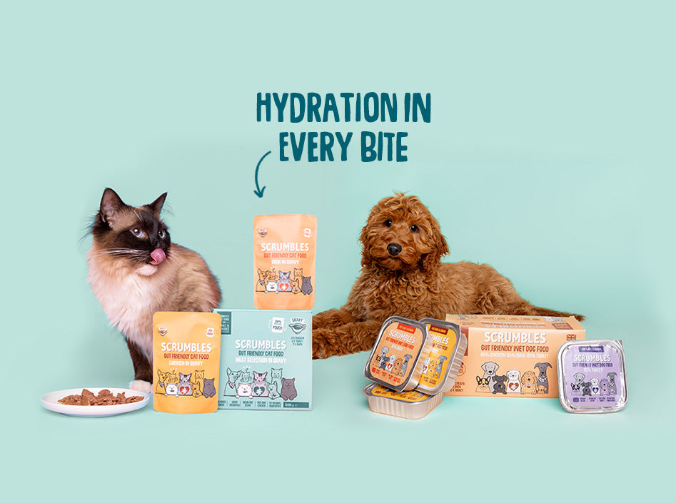 Scrumbles: Natural Pet Food