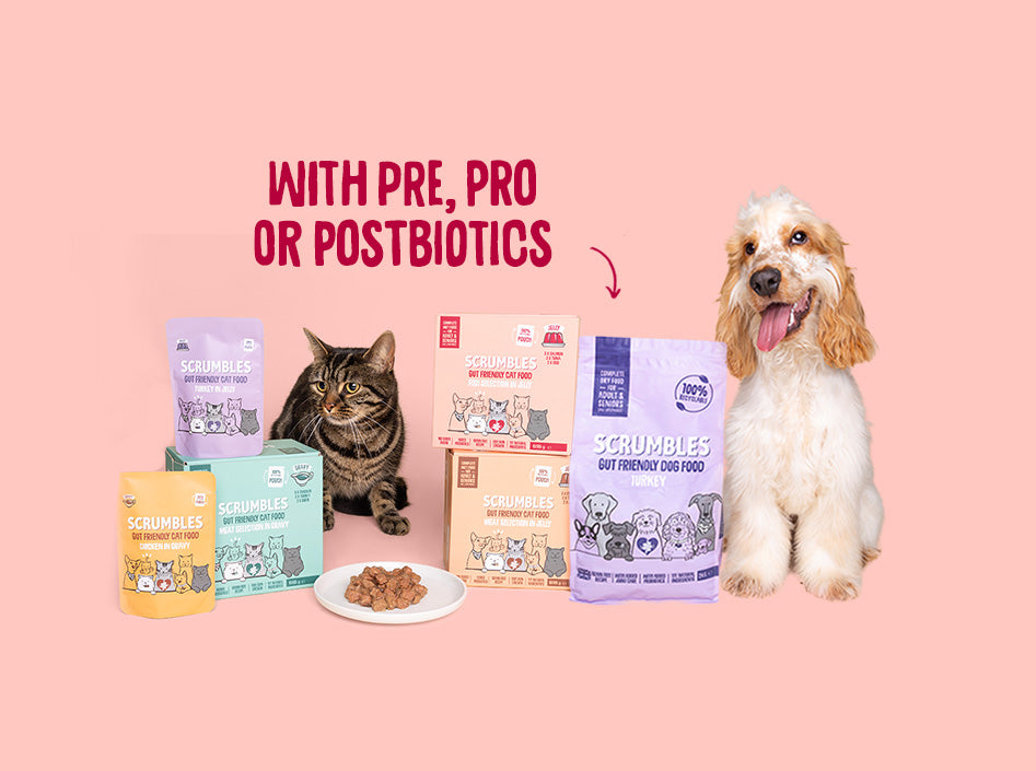 Dog and cat with Scrubbles pet food products on a pink background