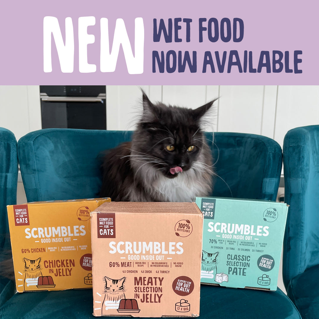 new wet cat food