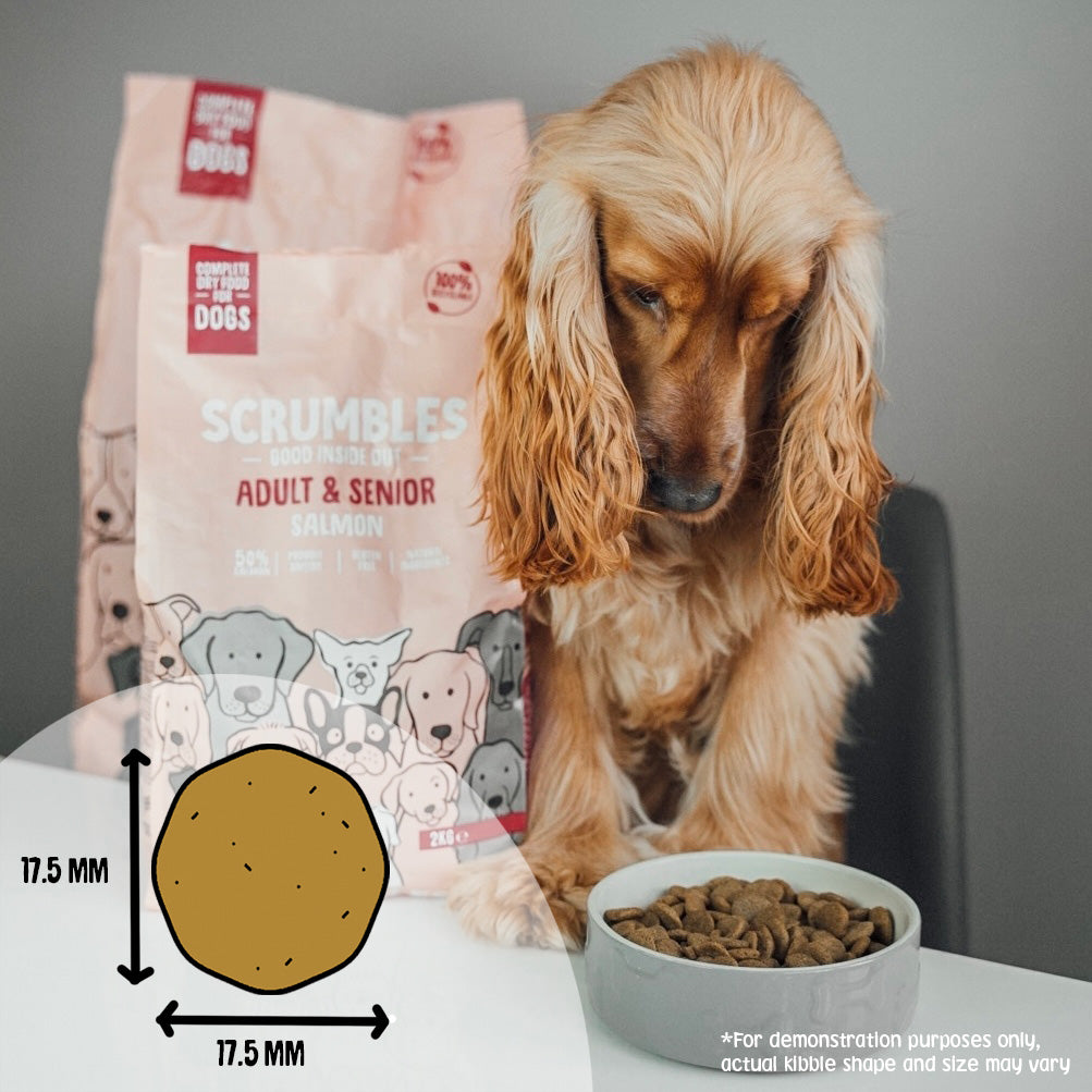 salmon-dry-dog-food-scrumbles-dry-dog-food-adult-dog-food-black-friday-dog-food-dry-dog-food-gluten-free-dog-food-grain-free-dog-food-hypoallergenic-dog-food-low-fat-dog-food-natural-dog-food-puppy-food-senior-dog-food-sensitive-stomach-dog-food-0