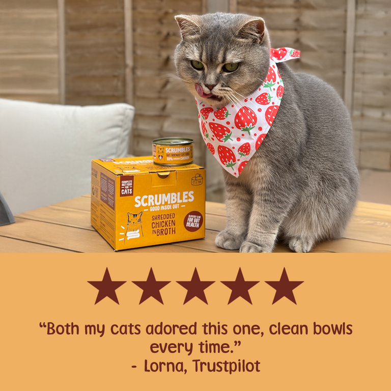 Wet Cat Tins Shredded Chicken in Broth Review