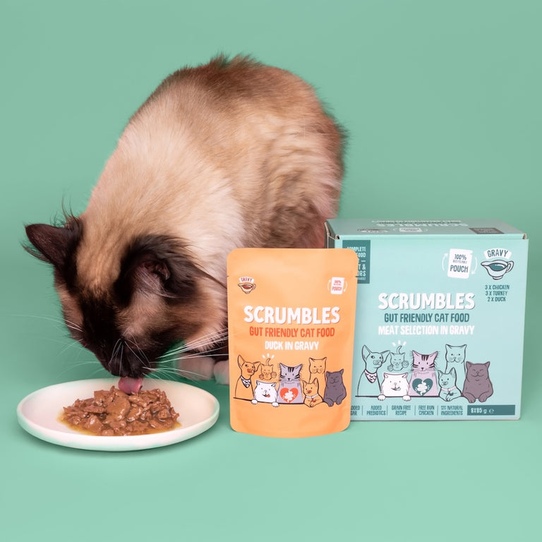 Wet Cat Pouches Gravy Selection Eating