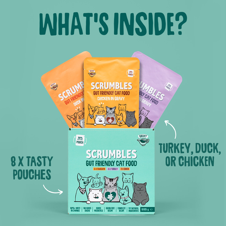 Wet Cat Pouches Gravy Selection Selection