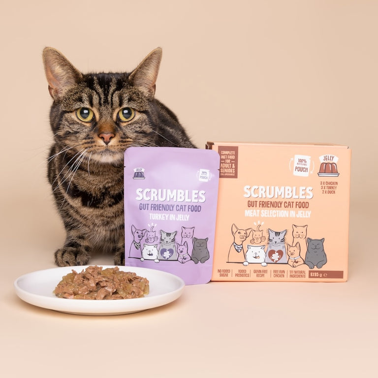 Wet Cat Pouches Poultry in Jelly