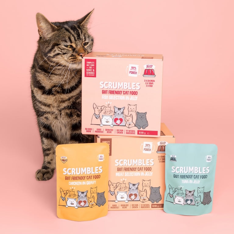 Wet Cat Pouches Fish Jelly Selection