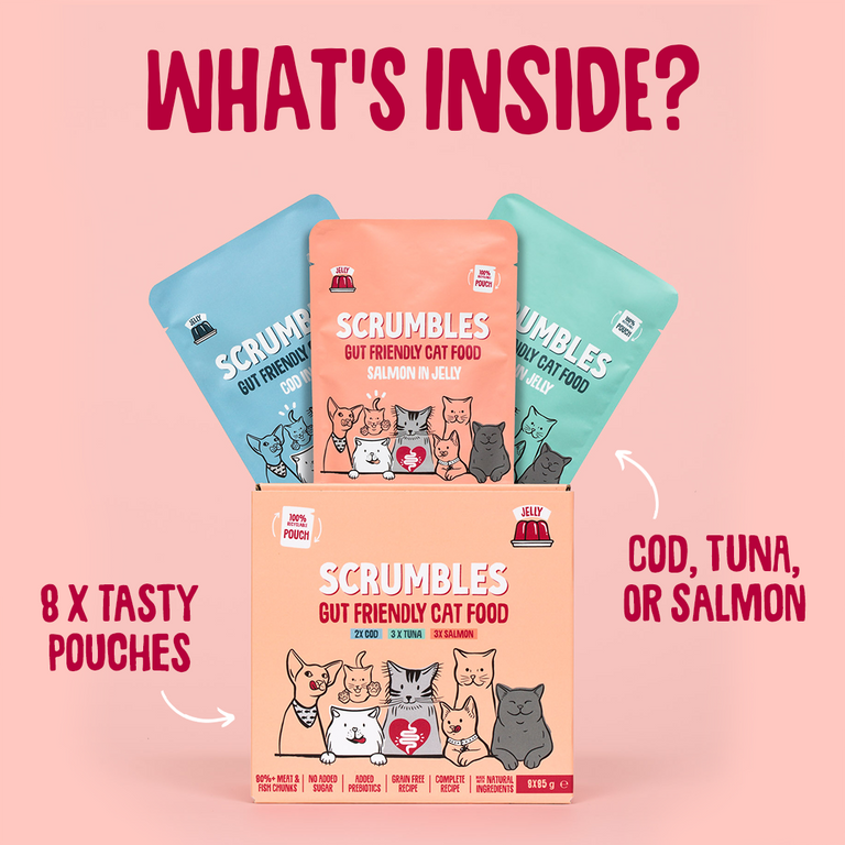 Wet Cat Pouches Fish Jelly Selection