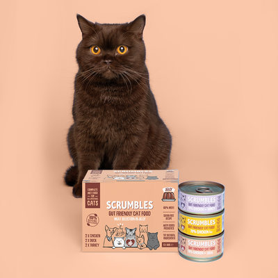 Wet Cat Tins Poultry Jelly Selection