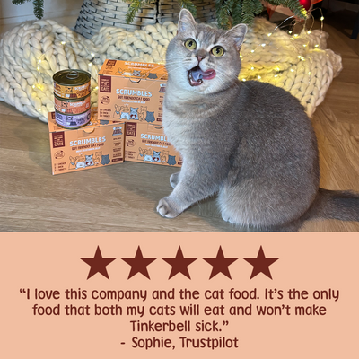 Wet Cat Tins Poultry Jelly Selection Review