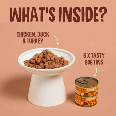 Wet Cat Tins Poultry Jelly Selection Texture