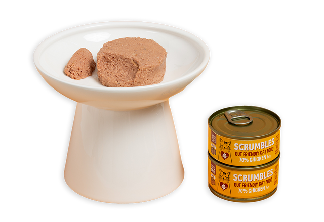 pate wet cat food