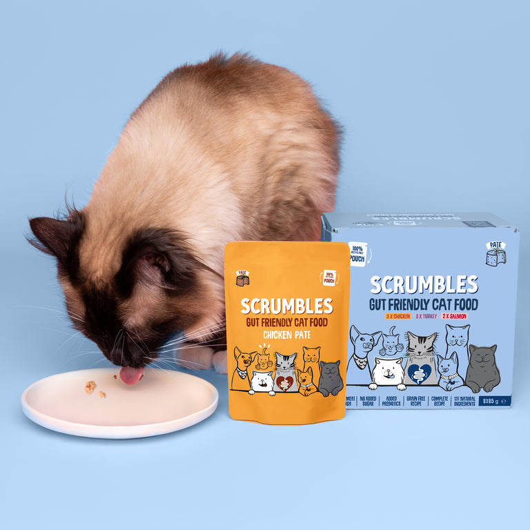 Wet Cat Pouches Pate Selection Feeding