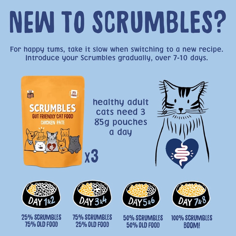 Wet Cat Pouches Pate Selection Feeding