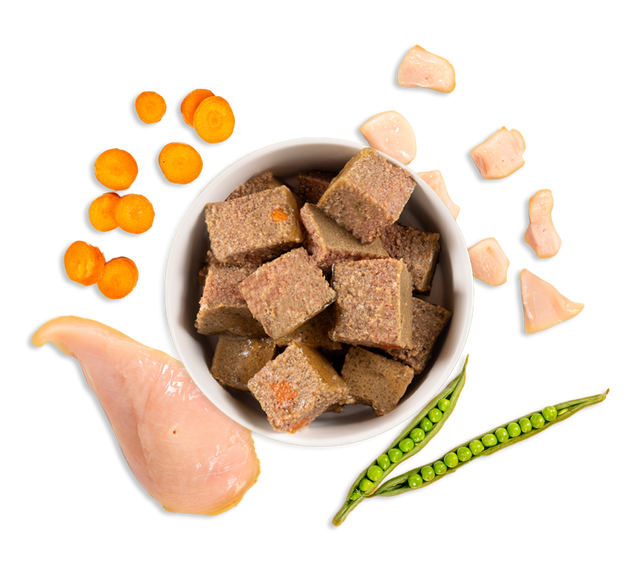 Chicken wet dog food