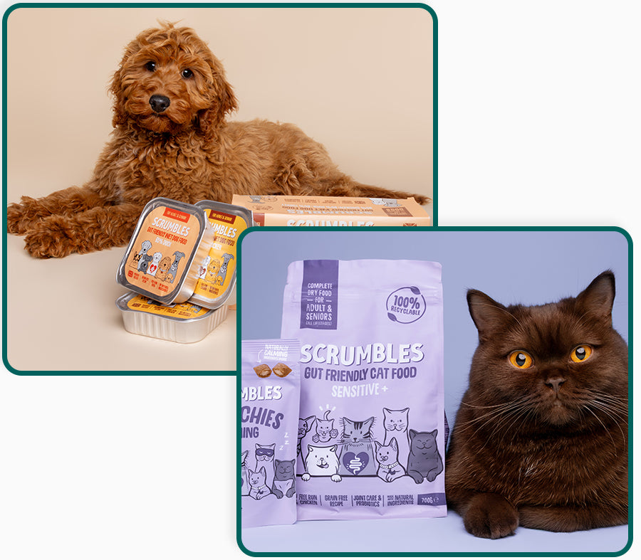 Scrumbles: Natural Pet Food