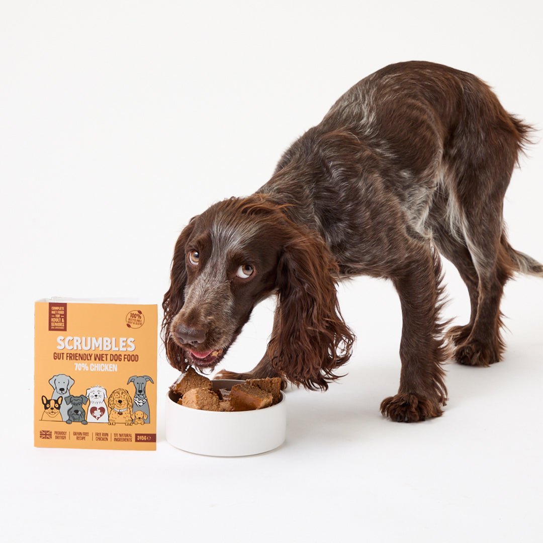 grain-free-chicken-wet-dog-food-sensitive-wet-dog-food-chicken-wet-dog-food-hypoallergenic-prebiotics-puppy-senior-2