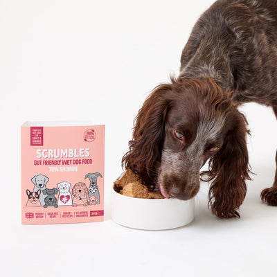 grain-free-salmon-wet-dog-food-sensitive-wet-dog-food-salmon-wet-dog-food-hypoallergenic-prebiotics-puppy-senior-2