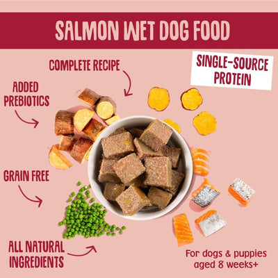 grain-free-salmon-wet-dog-food-sensitive-wet-dog-food-salmon-wet-dog-food-hypoallergenic-prebiotics-puppy-senior-3