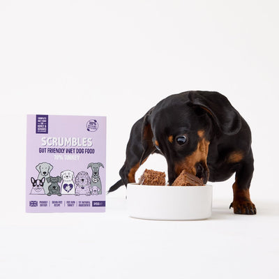 scrumbles-grain-free-turkey-wet-dog-food-sensitive-wet-dog-food-turkey-wet-dog-food-hypoallergenic-prebiotics-puppy-senior-2