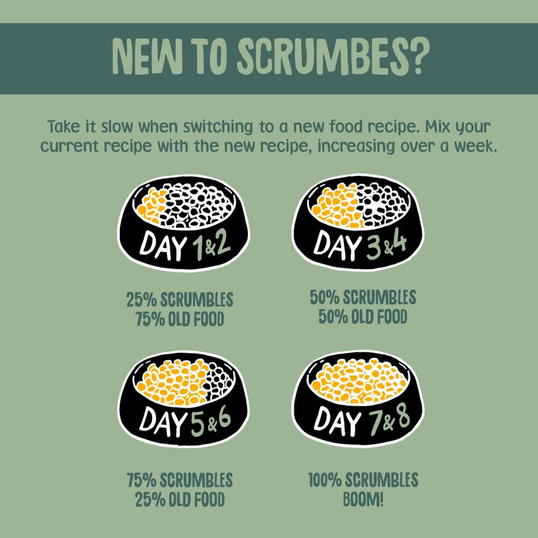 grain-free-veggie-wet-dog-food-scrumbles-wet-dog-food-adult-dog-food-black-friday-dog-food-gluten-free-dog-food-grain-free-dog-food-hypoallergenic-dog-food-natural-dog-food-puppy-food-senior-dog-food-sensitive-stomach-dog-food-wet-dog-food-5