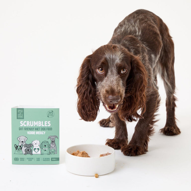 grain-free-veggie-wet-dog-food-scrumbles-wet-dog-food-adult-dog-food-black-friday-dog-food-gluten-free-dog-food-grain-free-dog-food-hypoallergenic-dog-food-natural-dog-food-puppy-food-senior-dog-food-sensitive-stomach-dog-food-wet-dog-food-1