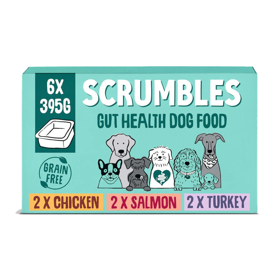 Meat and Fish Wet Dog Food Selection (395g) – Scrumbles: Natural