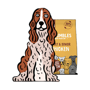 Medium dog breed