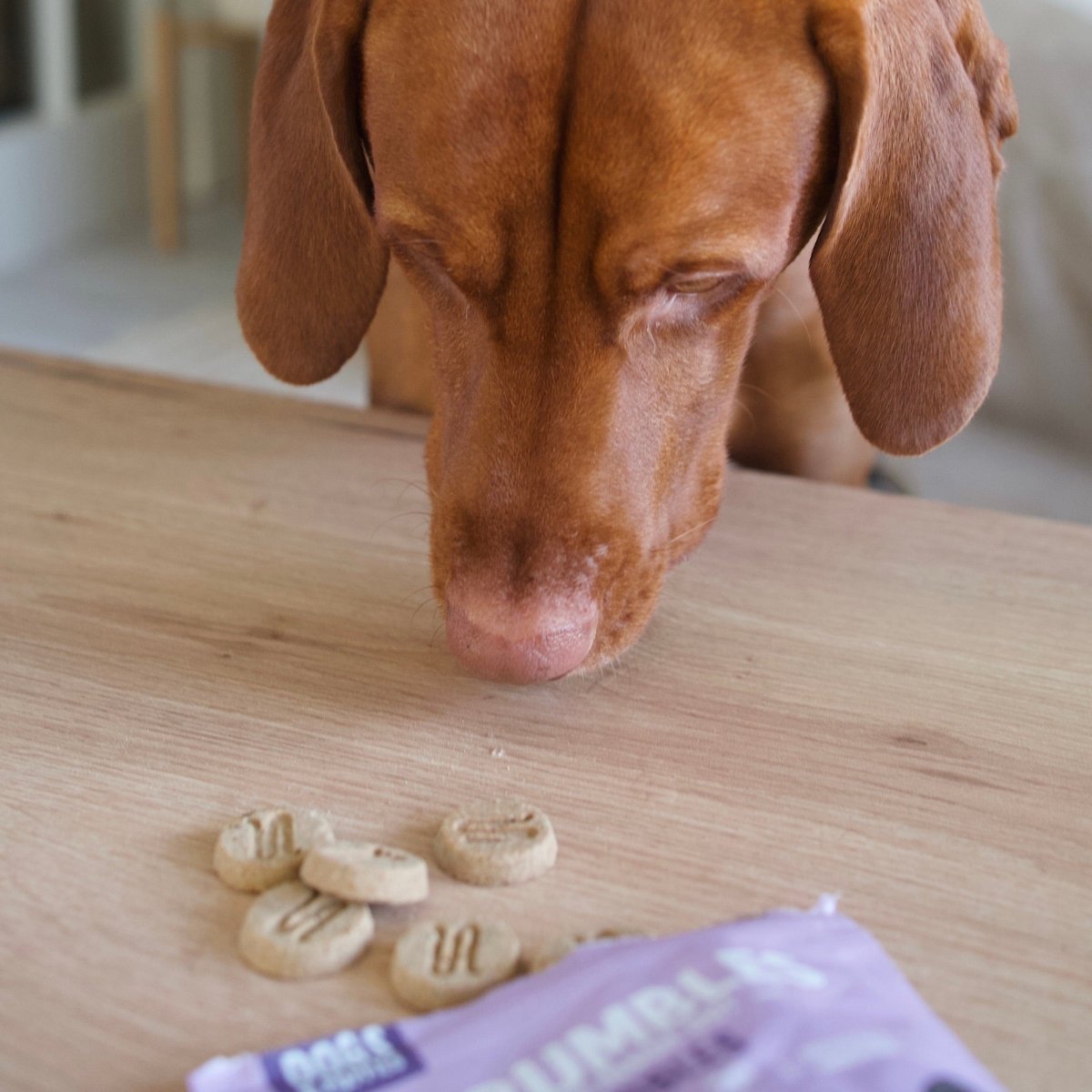 nibbles-calming-dog-treats-100g-grain-free-for-puppies-gluten-free-sensitive-stomachs-2