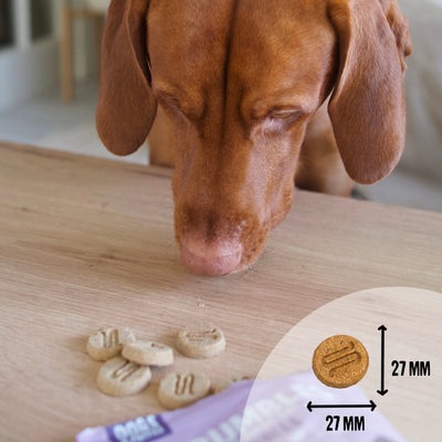 nibbles-calming-dog-treats-100g-grain-free-for-puppies-gluten-free-sensitive-stomachs-0