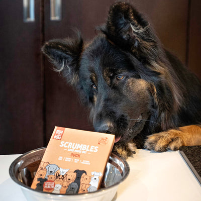 grain-free-duck-wet-dog-food-scrumbles-wet-dog-food-adult-dog-food-black-friday-dog-food-gluten-free-dog-food-grain-free-dog-food-hypoallergenic-dog-food-natural-dog-food-puppy-food-senior-dog-food-sensitive-stomach-dog-food-wet-dog-food-0