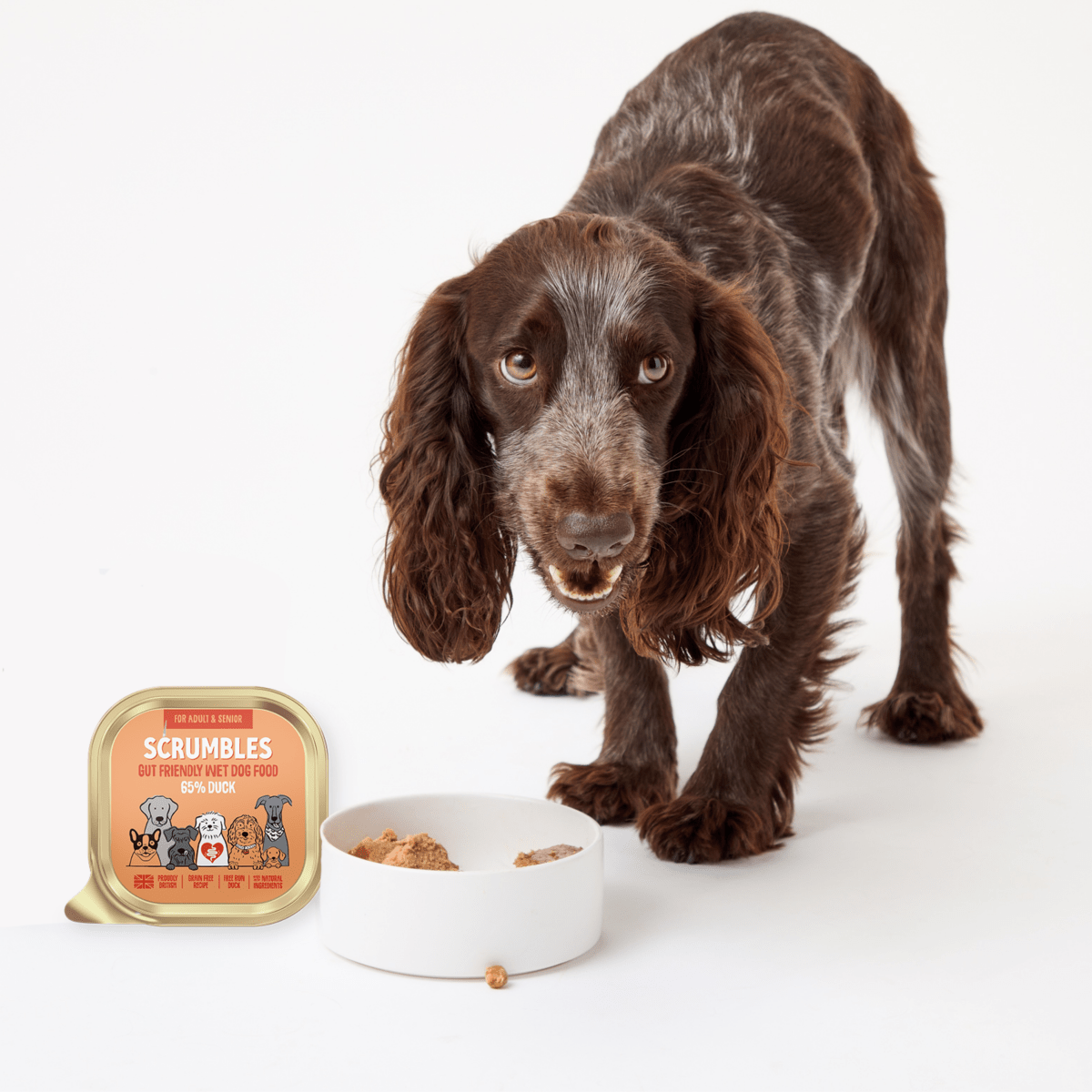 grain-free-duck-wet-dog-food-scrumbles-wet-dog-food-adult-dog-food-puppy-sensitive-hypoallergenic-gluten-free-senior-dogs-2