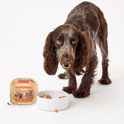 grain-free-duck-wet-dog-food-scrumbles-wet-dog-food-adult-dog-food-puppy-sensitive-hypoallergenic-gluten-free-senior-dogs-2