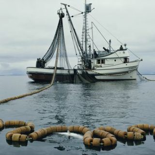Sustainable seafood