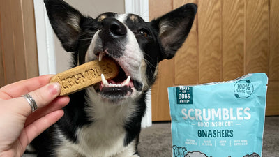 These Dog Dental Treats Are Flying Off The Shelves - Here's Why