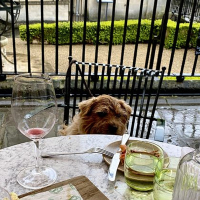 Dog Friendly Restaurants in London